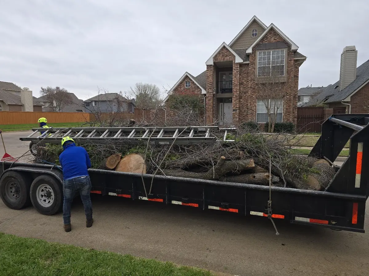 Expert Tree Fertilization with proper safety equipment in Italy